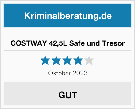 COSTWAY 42,5L Safe und Tresor Test